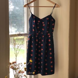 J Crew Watermelon Print Dress